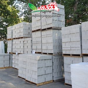 Parpaing 500X100X200