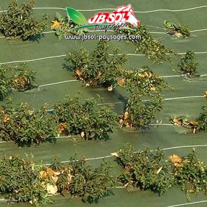 Toile de Paillage Verte Rouleau de 1.05Mx25M 90G/M2