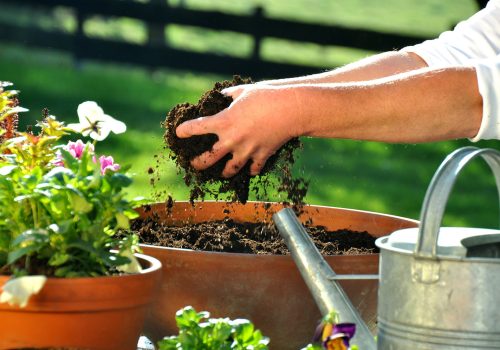 Gartenarbeit